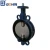 Import Ductile Iron Double Half Shaft Lug Butterfly Valve from China
