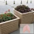Import Eco-Friendly Outdoor 48*40Mm Wood Plastic Composite Wpc Decoration Edge Band from China