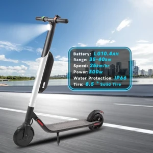 Europe UK warehouse Two-Wheel Electric Scooter Kick Motor Adult ES4 sharing iscooter