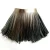Import European Manufacturer High Quality Gold Fringes Leather in 4mm from Netherlands