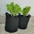 Import Factory direct sales Non-woven Flower Pots Felt Planter Grow Bags from China