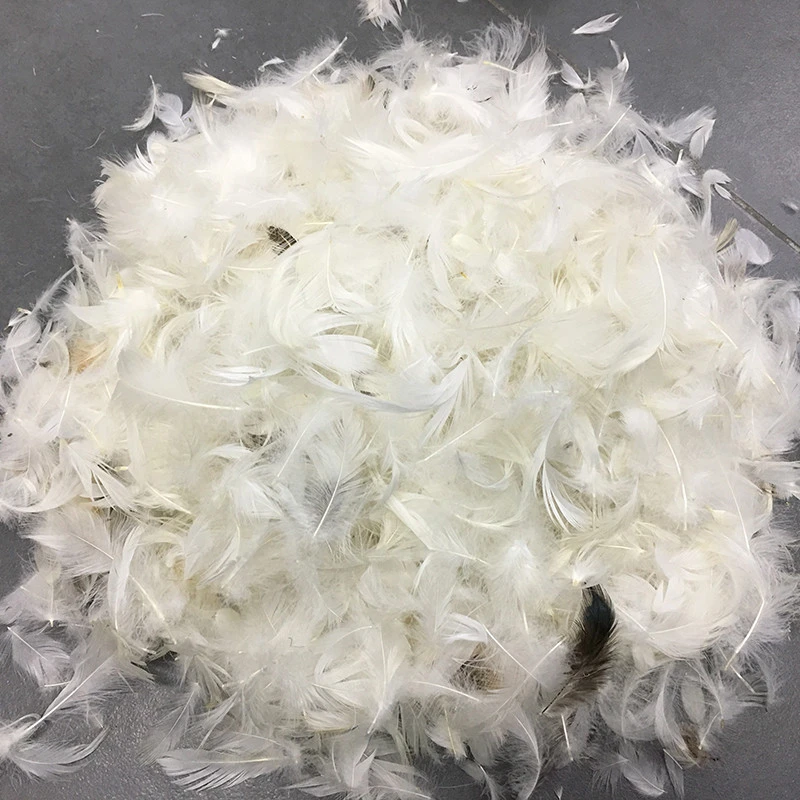 Factory Sales Hot Selling Washed White Duck Feather 4-6 CM For Pillow Cushion Filling Feathers