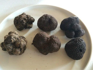 Factory Supplier truffle mushroom price images manufactured in China