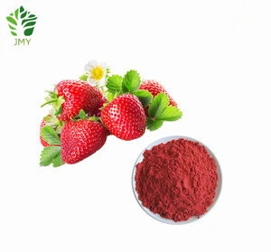 Factory Supply Organic Freeze Dried Strawberry Fruit Bulk Juice Powder