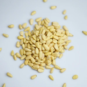 Factory Wholesale Chinese Cheap Bulk Blanched Pine Nuts Kernels