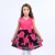 Import Fashion Model Girls Pattern Sleeveless Princess Printing Red Rose Prom Kids Dresses from China