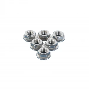 Flange Nuts Customized Stainless Steel 304 Hex Flange Nuts