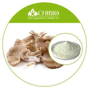 Food Grade Manufacturer Supply 100% Vegetal Mushroom Chitosan 20-500cps for Health Care Products