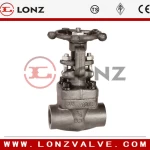 Forged Steel Gate Valve