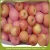 Import Fresh apple fuji with good delicious for sale from China