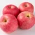 Import Fresh apples Red Fuji from USA