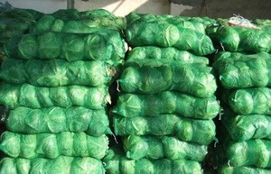 Fresh Cabbages Export/ cabbage wholesale / cabbage warehouse