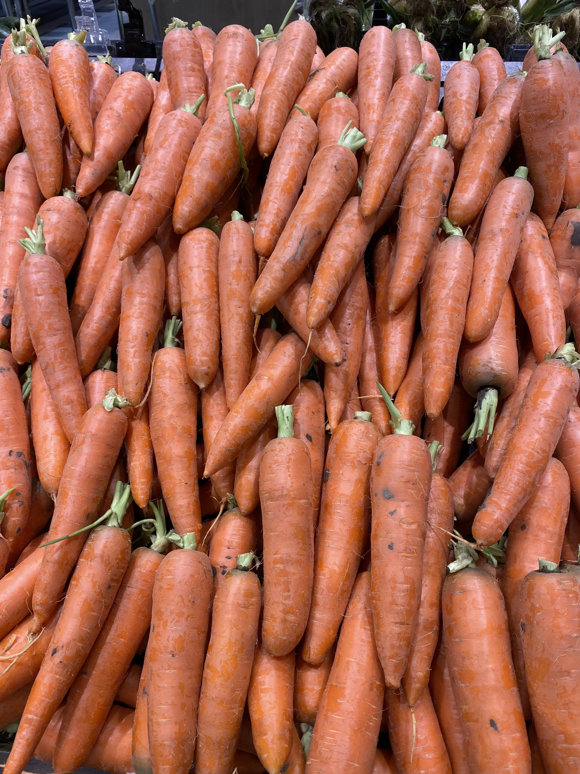 Fresh Carrot Size 80g from Vietnam 84 911 735 511