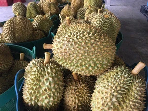 Fresh Durian Monthong High premium Quality Thailand