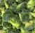 fresh frozen  Broccoli