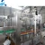 Import Fresh fruit juice processing line/machine/equipment for washing, filling and capping from China