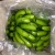 Import Fresh Green Cavendish Bananas quality from South Africa