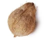 Fresh Matured Coconut for Middle East