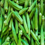 Fresh Okra ,Organic Fresh Okra for sale