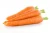 Import Fresh Organic Sweet Carrots from South Africa