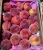Import Fresh Peaches & nectarines from Egypt