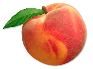 Fresh Peaches , Pakistan Peaches exporter