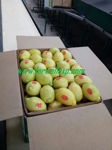 fresh seedless lime/lemon, best quality, best price, best supplier ever