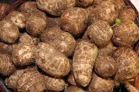 FRESH TARO EXPORT STANDARD PRICE FOR SALE FROM VIET NAM HIGH QUALITY WITH BEST PRICE FOR YOU.