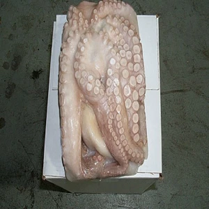 Frozen big octupus,Two Skin Baby Octupus , Frozen Octopus Whole Cleaned