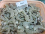 Frozen Black Tiger Shrimps/ Frozen King Prawns !!!