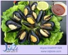 Frozen cooked mussel meatIQF or Half Shell seafood