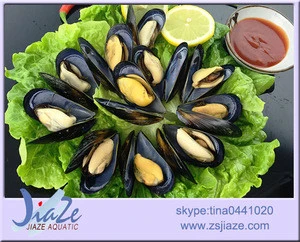 Frozen cooked mussel meatIQF or Half Shell seafood