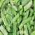 Import FROZEN MIXED VEGETABLES:  best quality small green mung bean for sprouting new crop from Germany