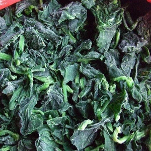Frozen Vegetables of Chopped Spinach
