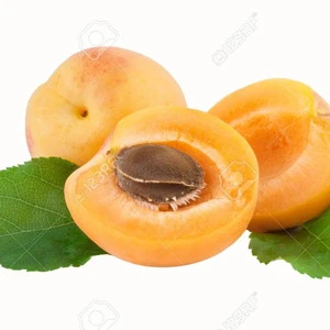 Fruit Canned Fresh Apricot in 425g