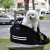Import FUNDLE Wonder Bag / Running Bag Lovable Dog Carrier Pet Cat Bag Pack Cooling Cushion Travel / Walking Backpack Carrier Bag from South Korea