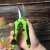 Import Garden Tree Scissors Pruning Shears Hand Protection Cut Flowers from China