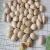 Import Ginkgo Nuts ,Peeled Ginkgo Nuts,Raw Ginkgo Nuts from Spain