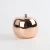 Import Gold plating shinning christmas table apple decoration ceramic modern home decor from China
