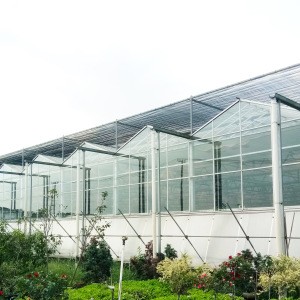 Good quality Commercial Glass Garden Greenhouse