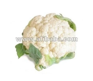 Good Quality Fresh Cauliflower Made in Inida