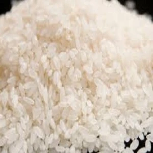 Great Quality Arborio Rice