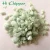Import Green colored glow in the dark glass chips for garden from China