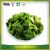 Import green day vegetables chips freeze dried vegetables fd broccoli from China