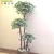 Import Guangzhou Wholesale Artificial Banyan Bonsai Tree from China