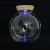 Import Handmade High Borosilicate Terrarium Glass Bottle for Plant with LED Light from China