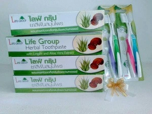 Herbal toothpaste made with Lingzhi and Aloe Vera Extract