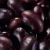Import High Quality Bulk Dried BLACK Kidney Beans for Sale from China