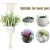 Import High Quality Cotton Bohemian Home Decor Wall Plant Hangers Rope Plant Pot Hangers from China