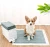 Import High Quality Lemon Carbon Fiber Training Pad Dog Cat Pet Pee Pad Absorbed Diapers Urine Disposable Tent Cage from China